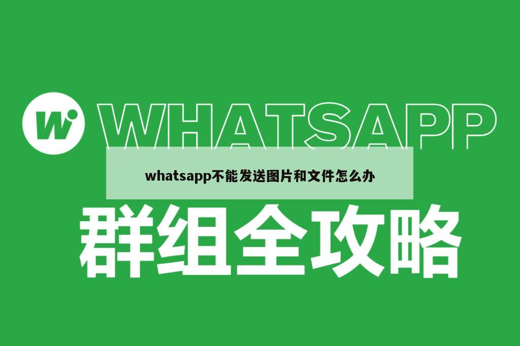 whatsapp不能发送图片和文件怎么办